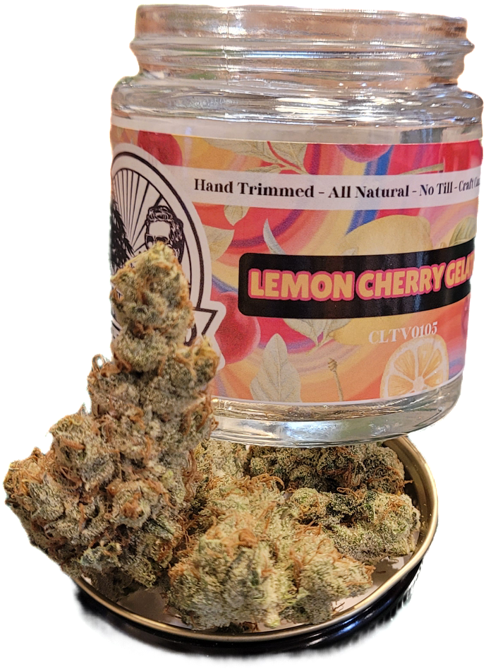 Lemon Cherry Gelato Jar