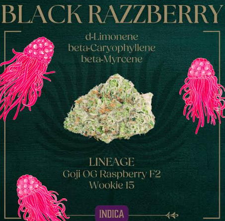 Black Razzberry 3.5g - 1/8oz in Sonoita