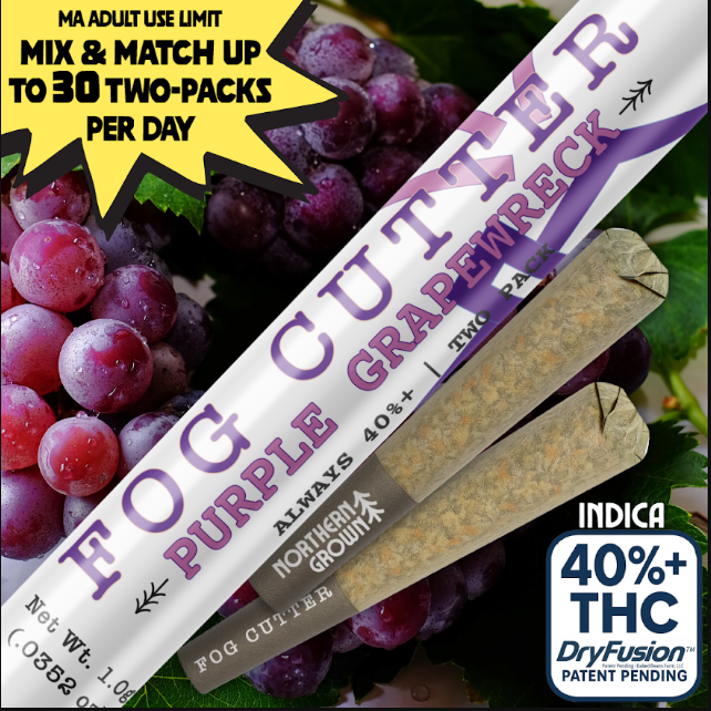 Purple Grapewreck | Infused Preroll .5gx2-1g