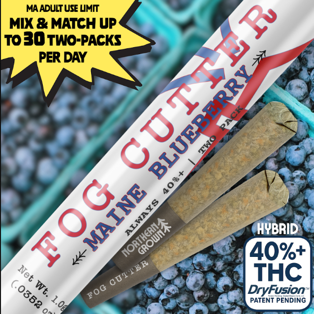 Maine Blueberry | Infused Preroll .5gx2-1g