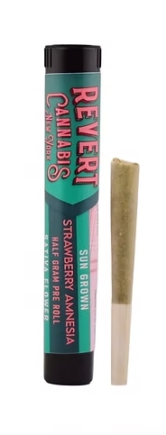 Revert | Strawberry Amnesia | Preroll | 0.5g