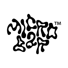 MICRO BAR Disp. Golden Dragon Fruit