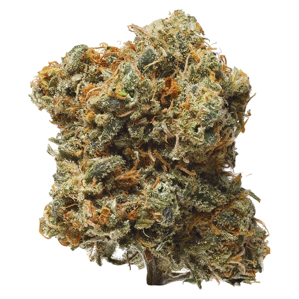 1964 - Blue Dream - Sativa - 3.37%TERPS!!