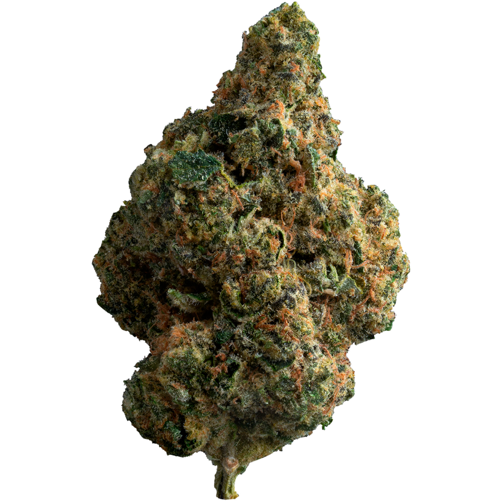 Exotic Gas | 28g🔥