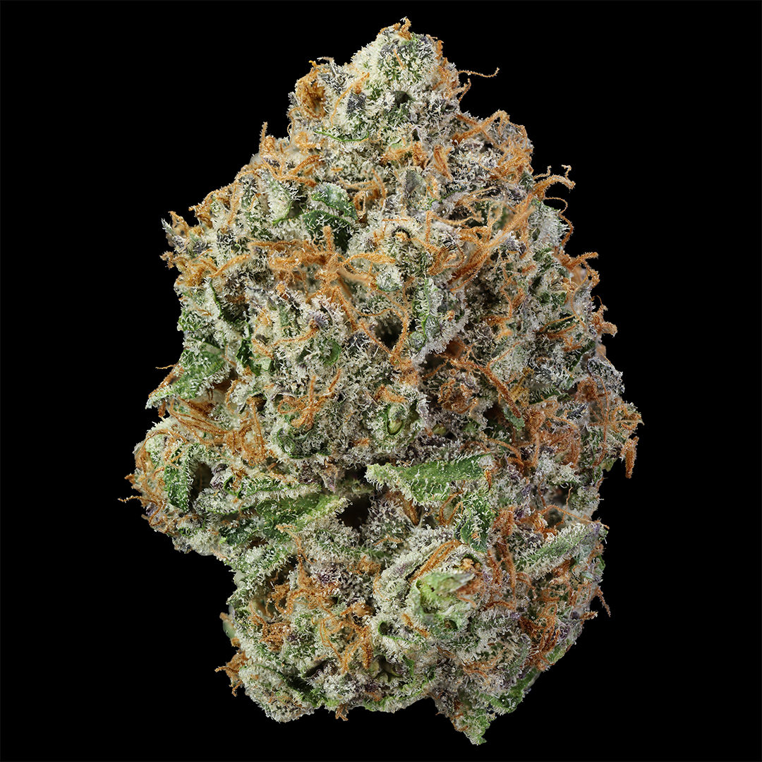 Orange Starburst