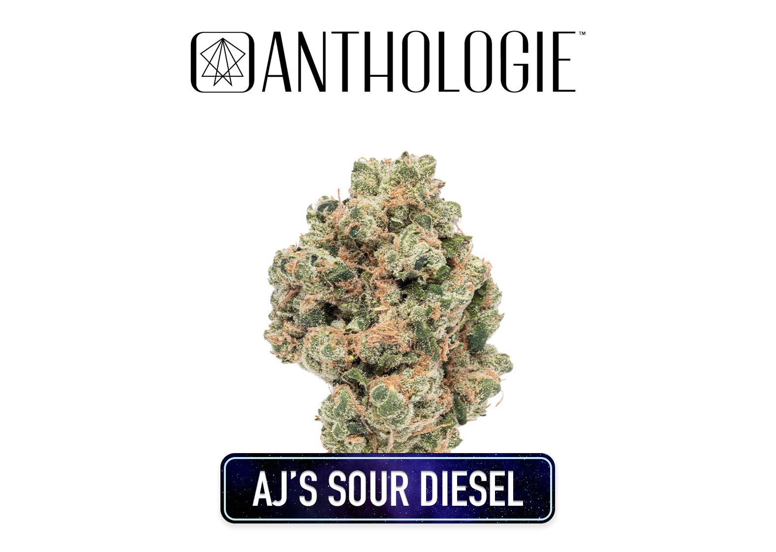 Anthologie AJs Sour Diesel Flower 3.5g