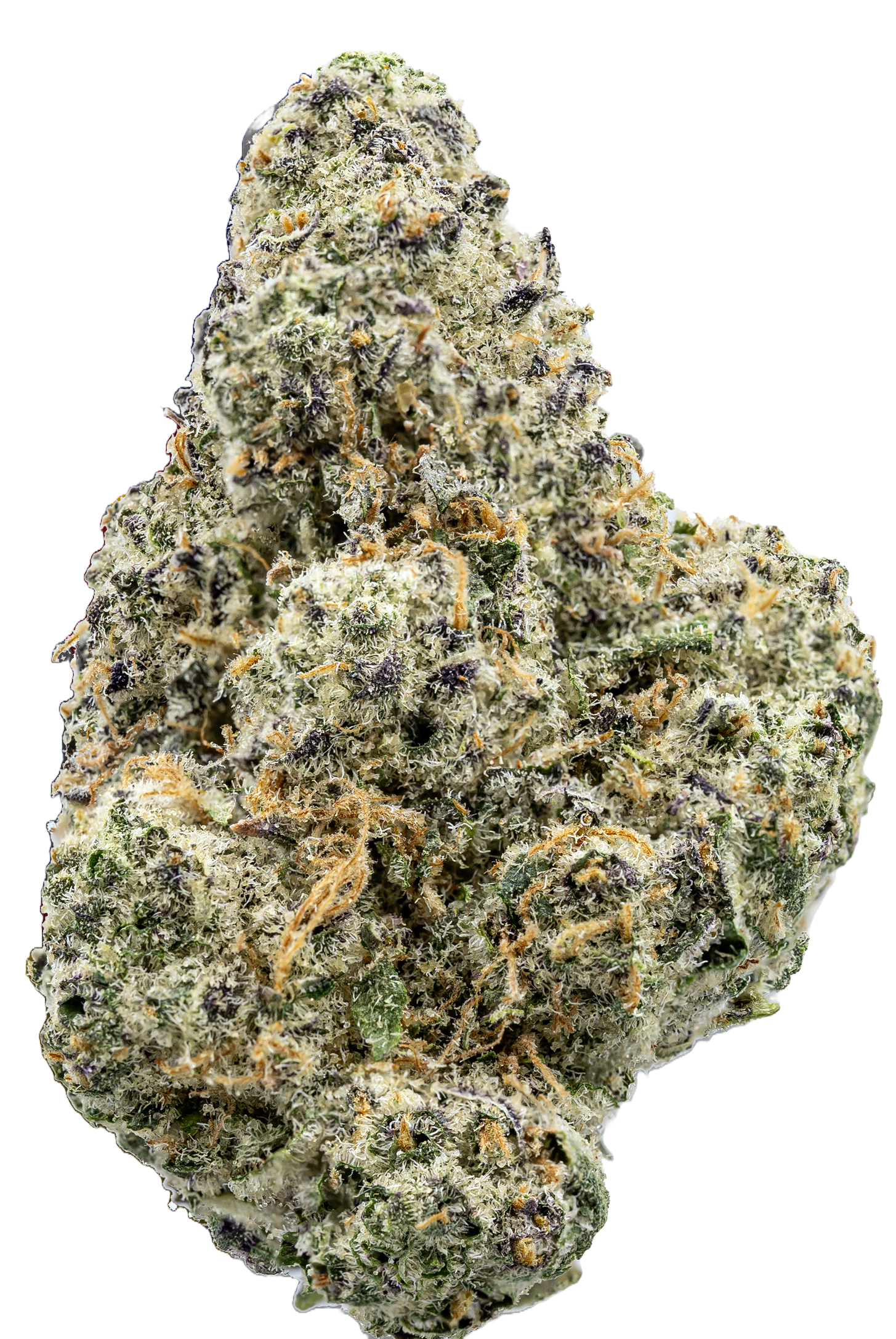 (C) Peninsula: Super Zmash (H) Deli