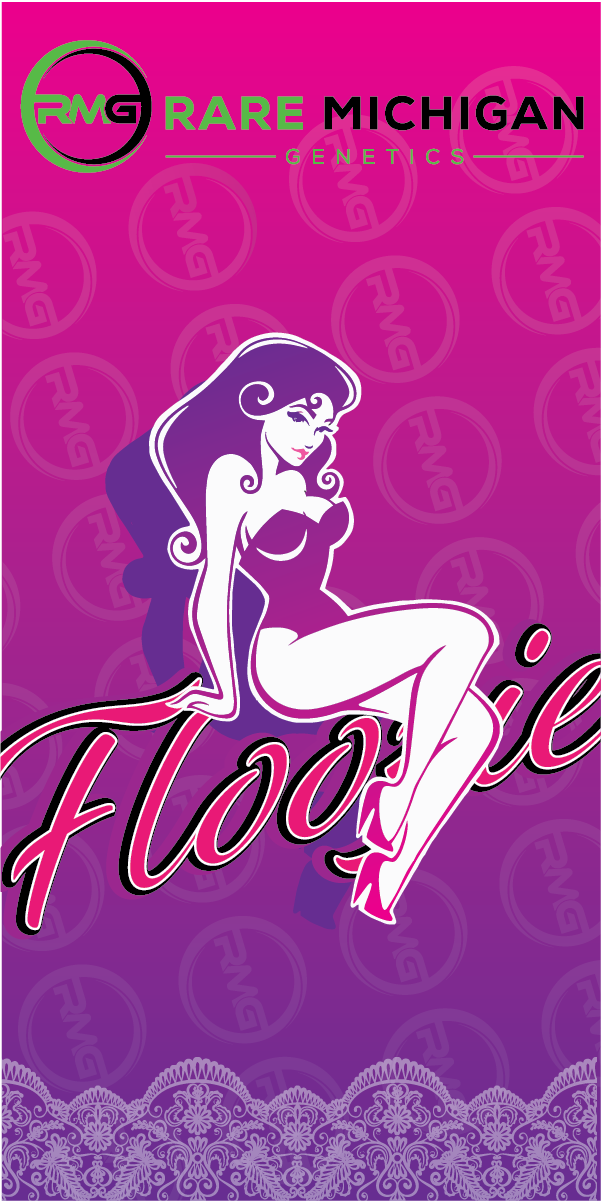 Floozie 28pk