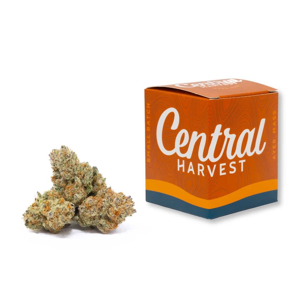 Mike's Strawberry Lemonade | 3.5g