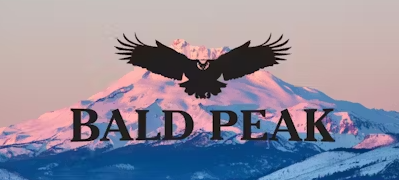 SLEEPING GAS Live Resin | 1g