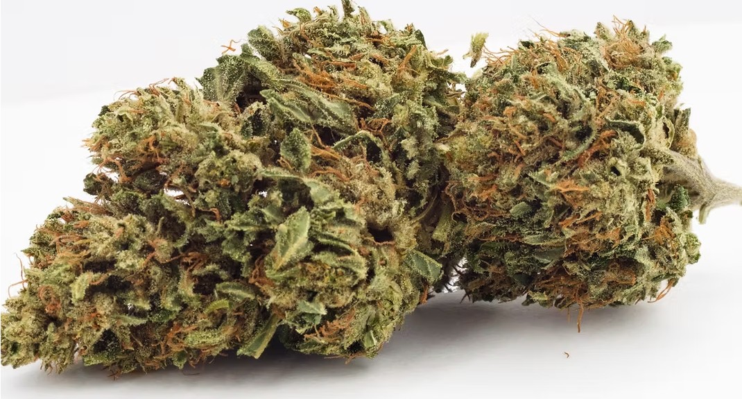 Certified Organic CBD Flower (Umpqua) - Indica