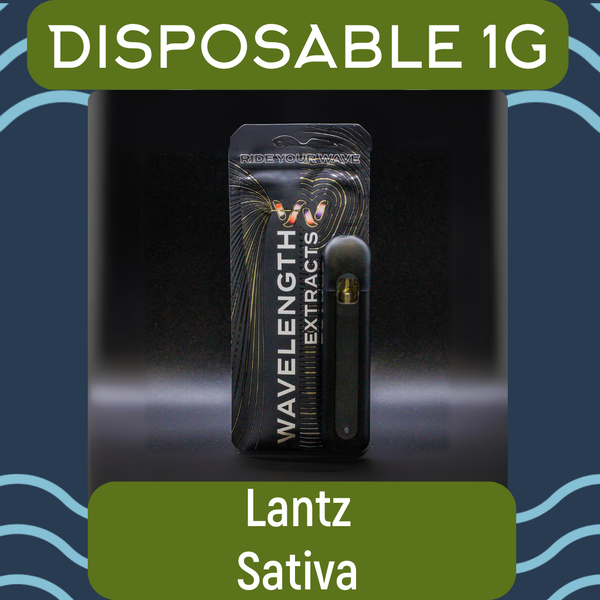 Wavelength | 1g | Lantz | Disposable