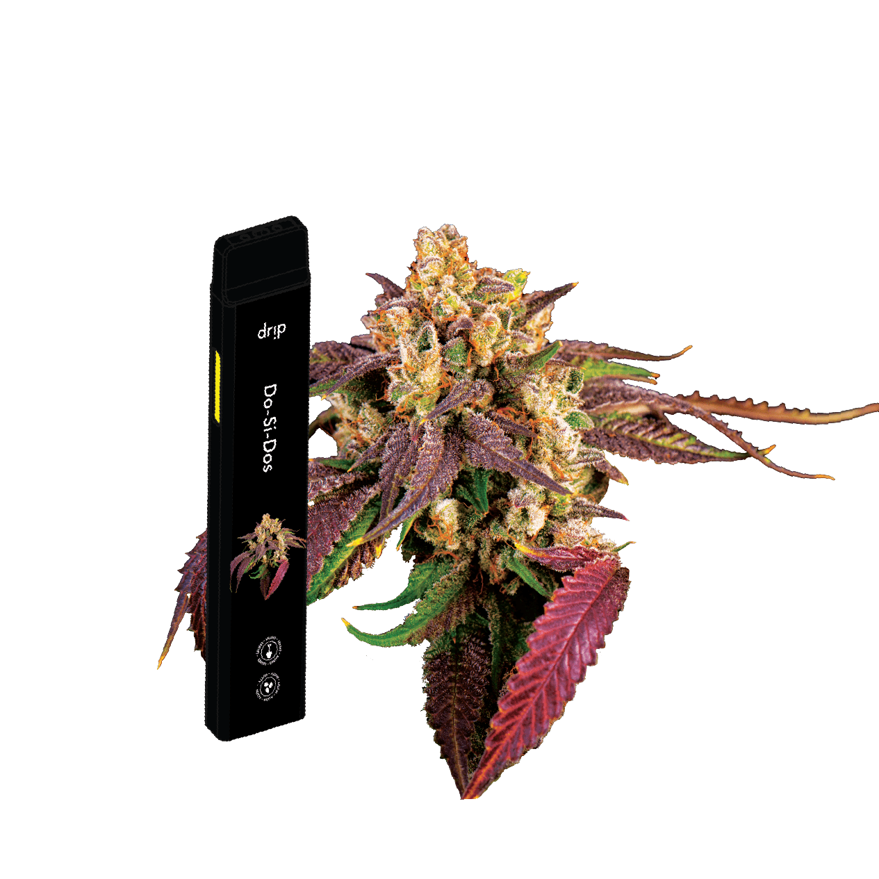 All In One Vape: Do-Si-Dos (I)