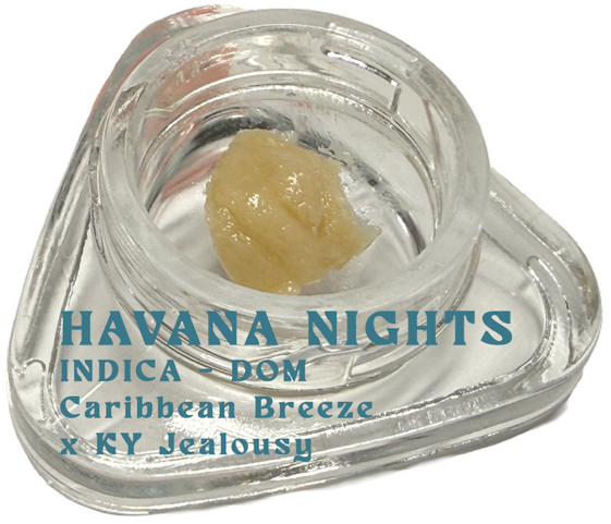 Havana Nights