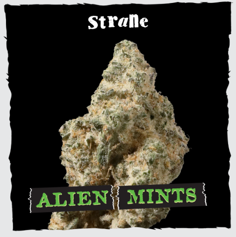 STRANE Alien Mints 3.5g