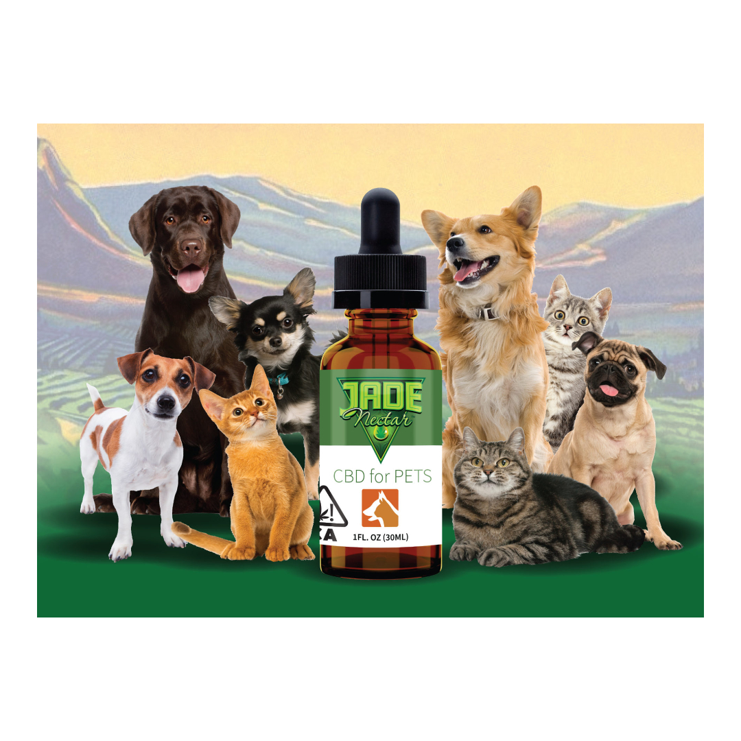 Nectar Tincture Cbd Pets 1,