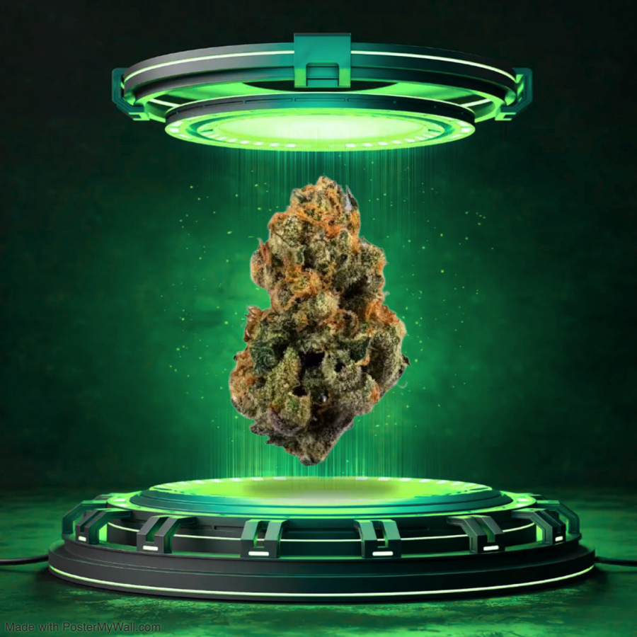 Panna Cotta - Flower