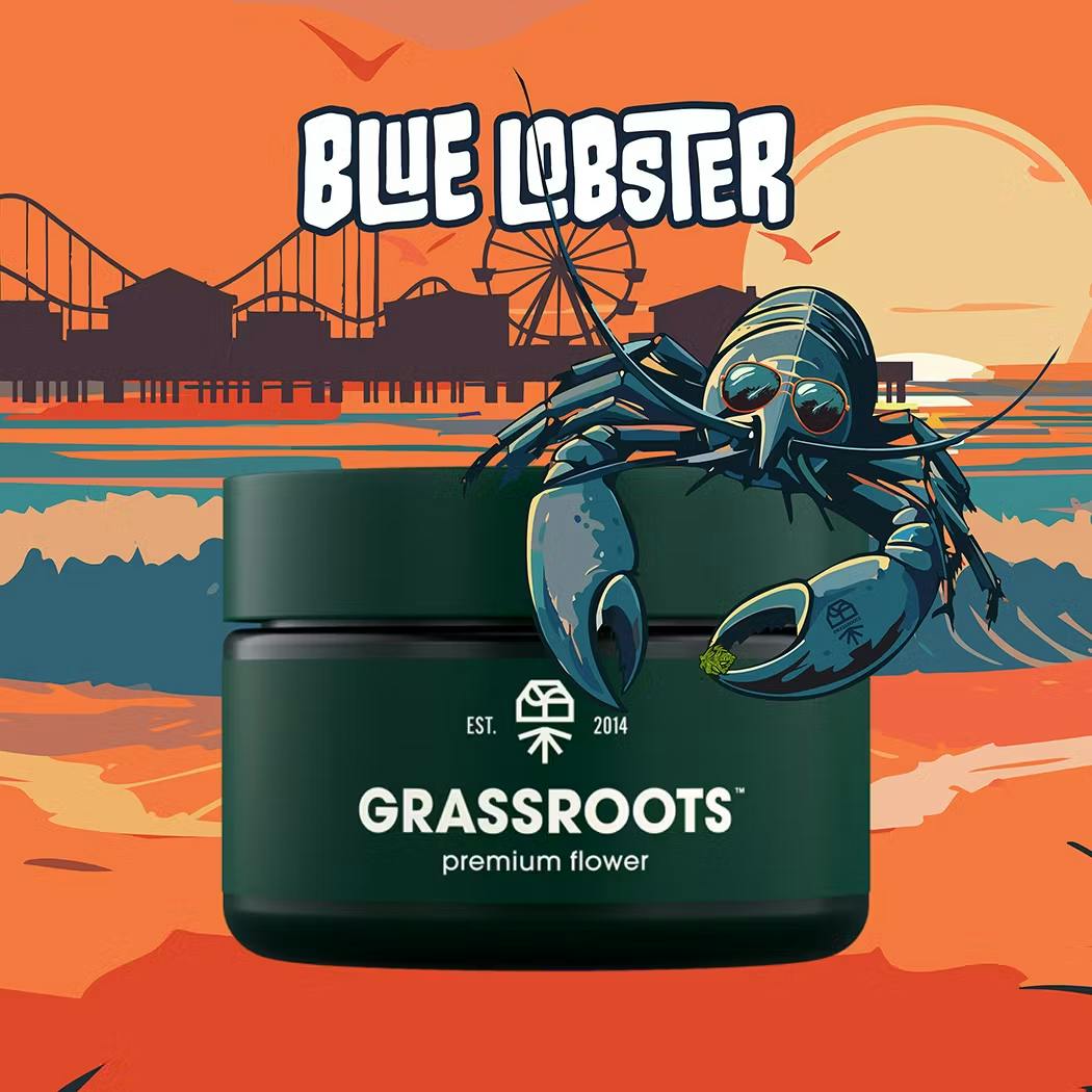 Grassroots | Blue Lobster (Hybrid) Diamond Infused Pre-Roll