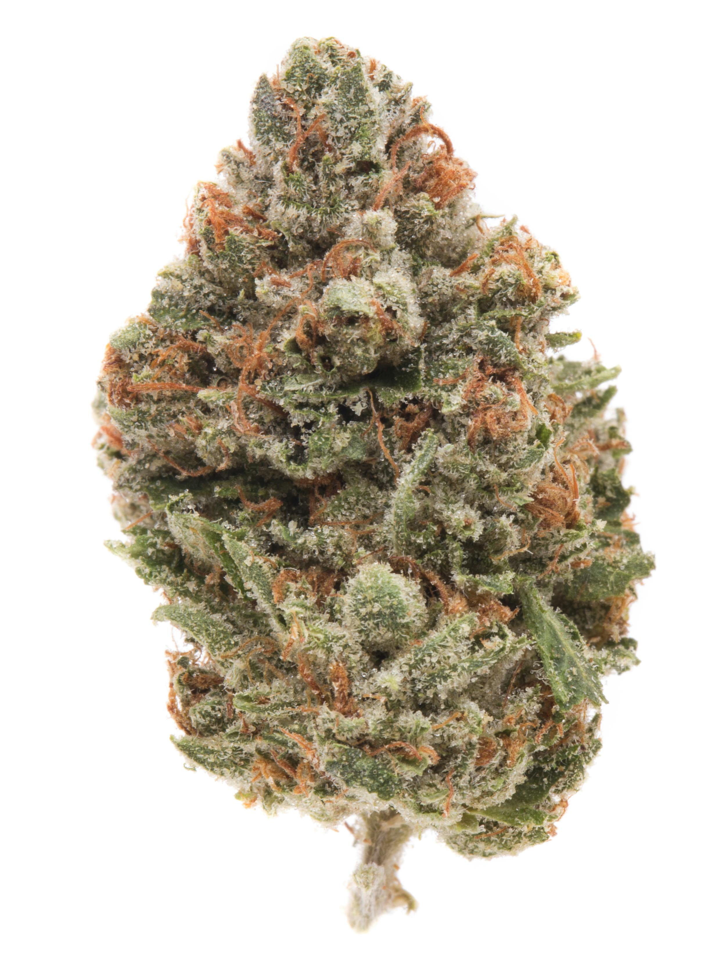 Chem D