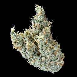 Bountiful Farms | MSQ | 3.5g