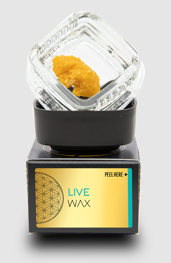 Coffee I Scream Wax | 4g