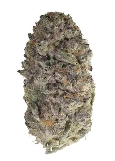 Blueberry Bang