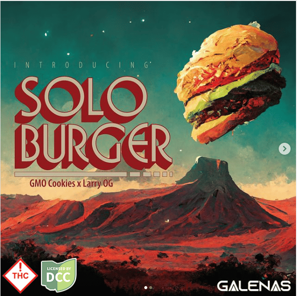 Solo Burger - Flower - 2.83g