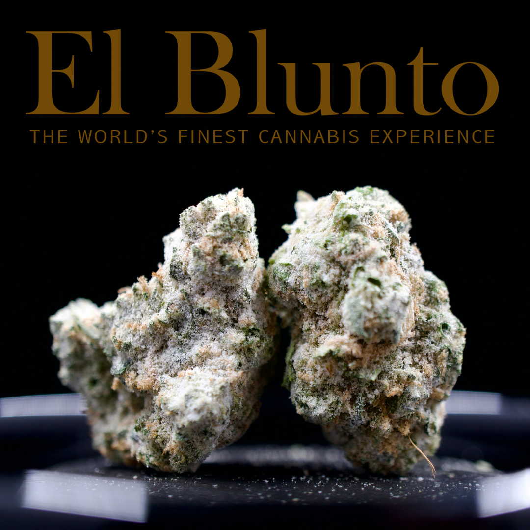 El Nugón | Diamond Infused | Tiffany & OG | TAC: 39.2%