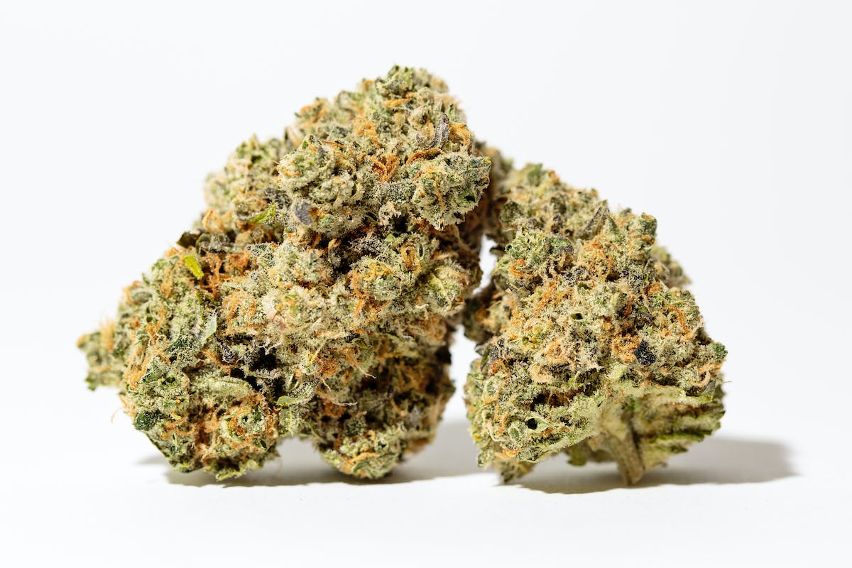 NOBO | Tier 3 Bulk Flower | Super Boof