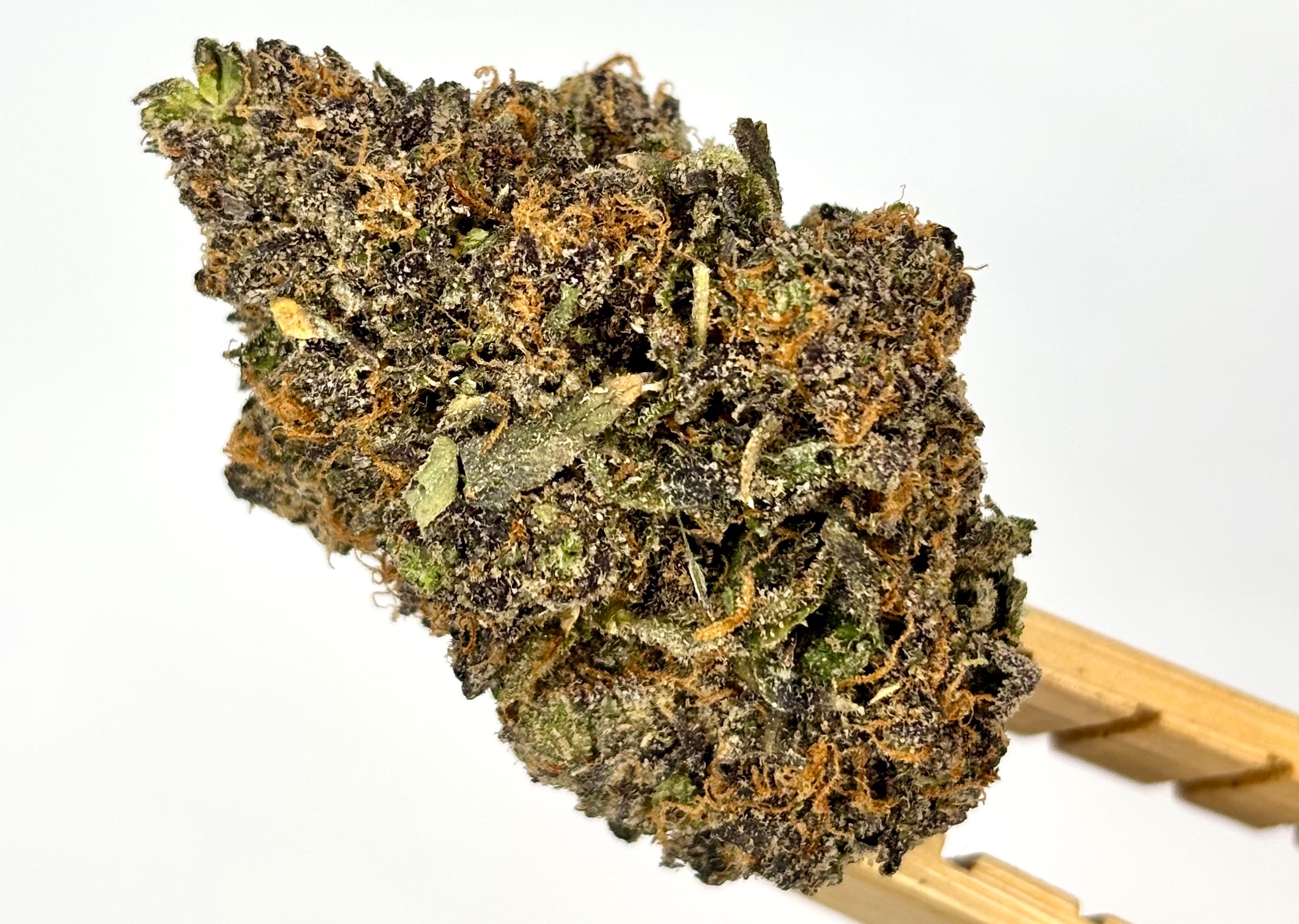 DogHouse | Mega | Bulk Flower | Platinum Tier