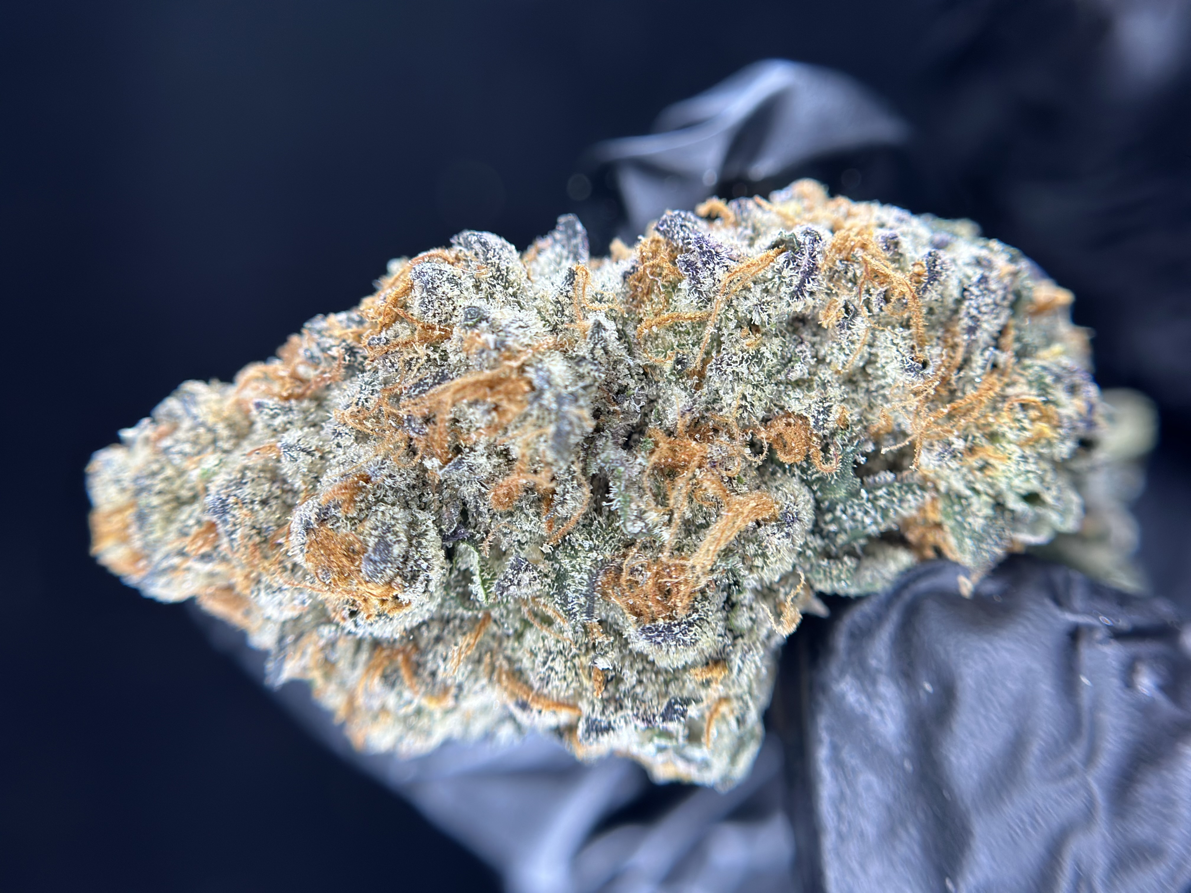 Cadillac Rainbows 3.