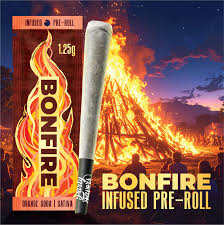 Party Favors | Bonfire 1.25g infused pre roll- Orange Soda Sativa