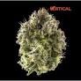 VERTICAL PRE-PACK FLOWER GRAPE BUBBLEGUM (I/H) 3.5G