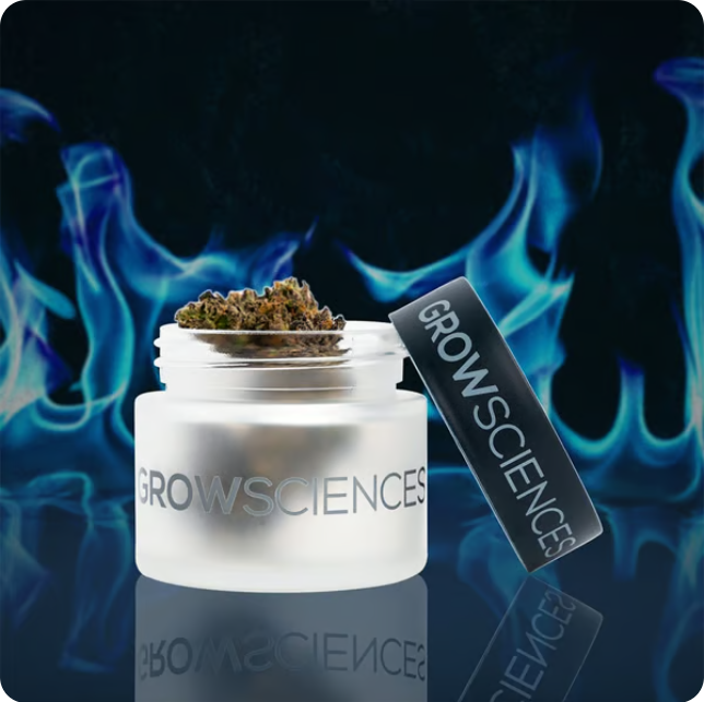 Grow Sciences Dante