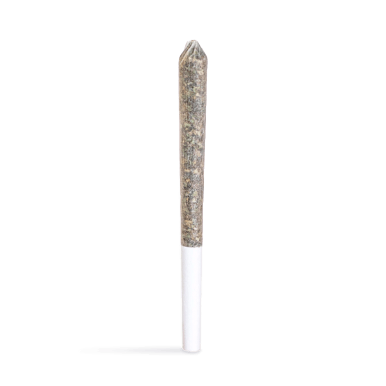 Apple Diesel Infused Pre-Roll | 1.2g