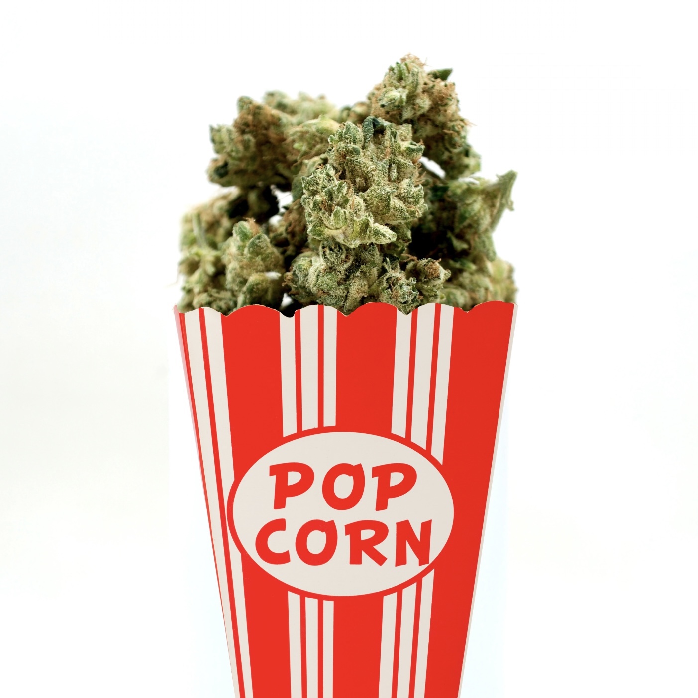 New Glue | 14g Popcorn | TAC: 24.9%