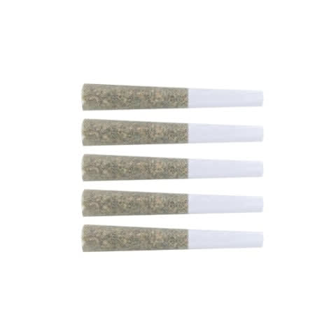 The Loud Plug : Exotic Gas Pre-Rolls (5x0.5g)