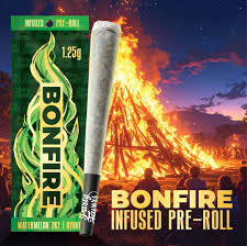 Party Favors | Bonfire 1.25g infused pre roll- Watermelon ZKZ