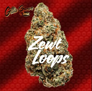Gillie Zewt Loops | 3.5