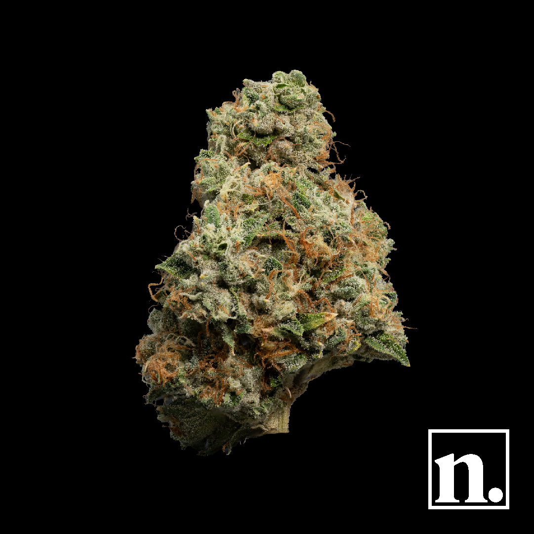 Niche x Josh D | Sunkiss OG |