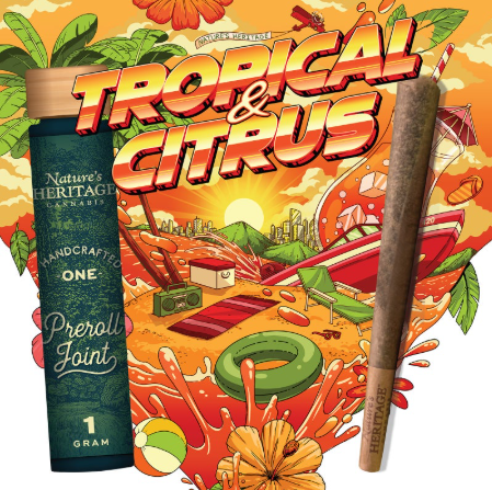 Guicy Banger | Pre-Roll 1pk | 1g product photo