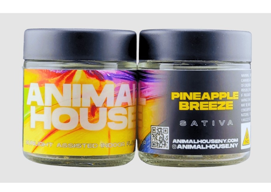 Animal House | Pineapple Breeze | Kief Infused PreRoll 7pk