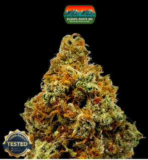 RuggedRoots - Pineapple Trainwreck - 1g - S