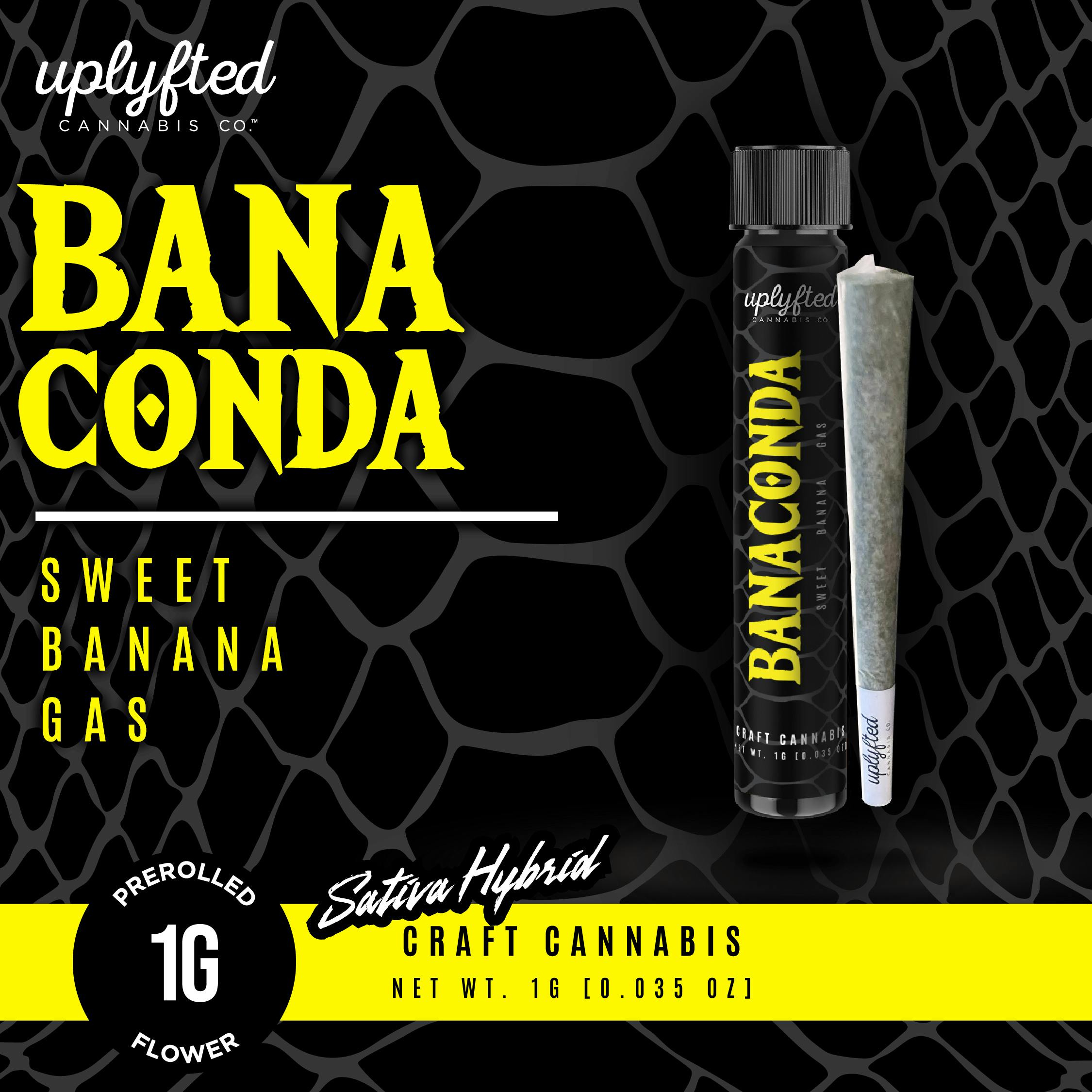 AU Uplyfted: Bananaconda 1G Preroll