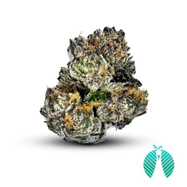 Lemon Drops Flower: 7g