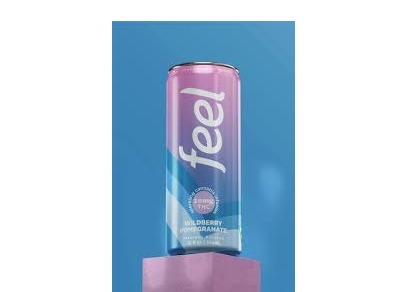 Feel Energy - 10mg - Wildberry Pomegranate