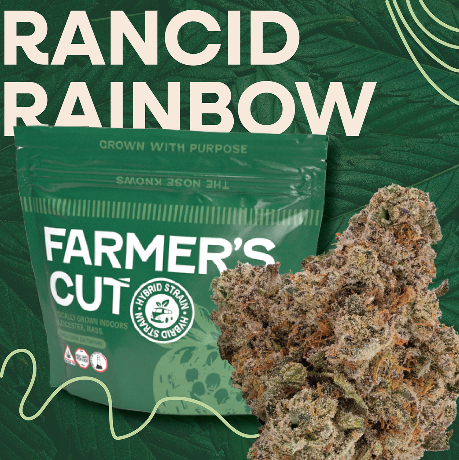 Rancid Rainbow | 28g