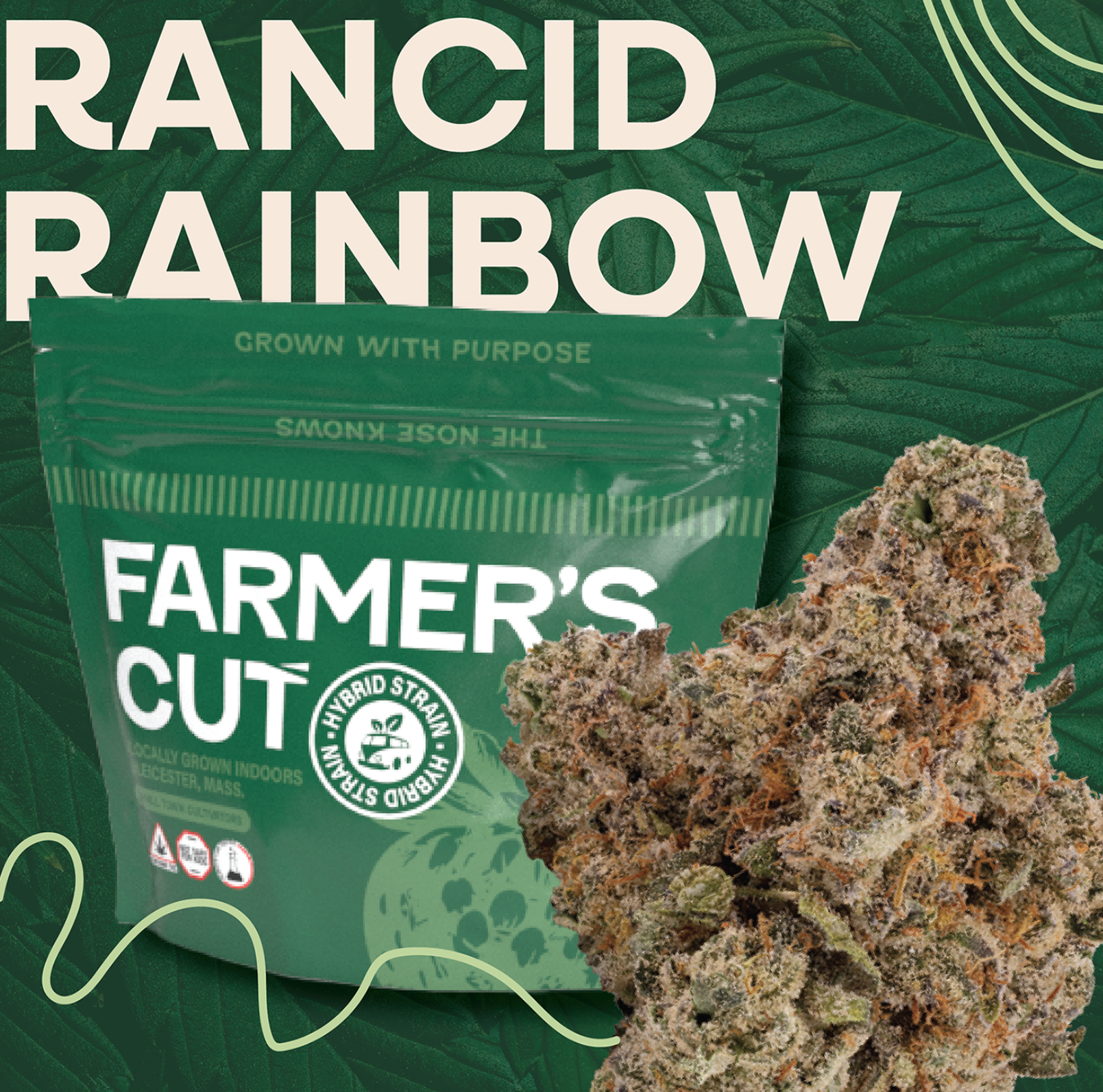 Rancid Rainbow | 3.5g