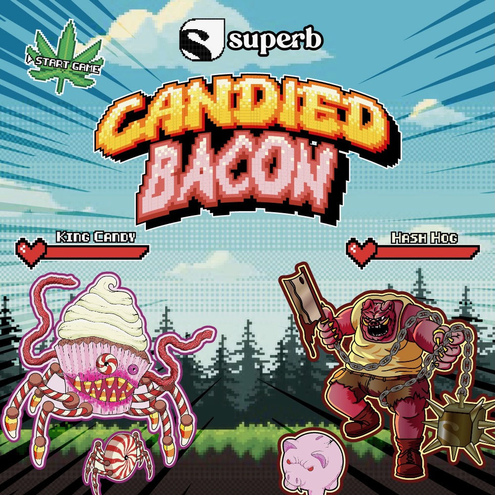 Superb | Candied Bacon | Bulk Flower | White Tier