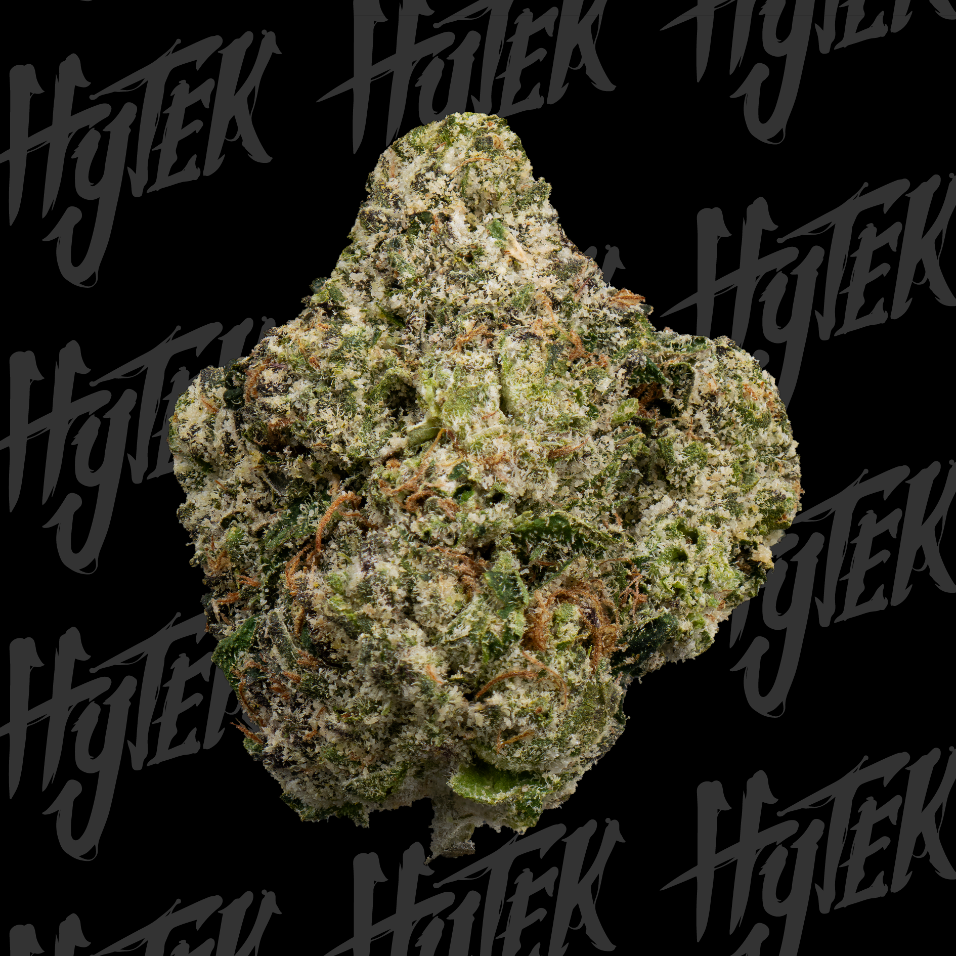 GELATO 33 | BULK DELI FLOWER
